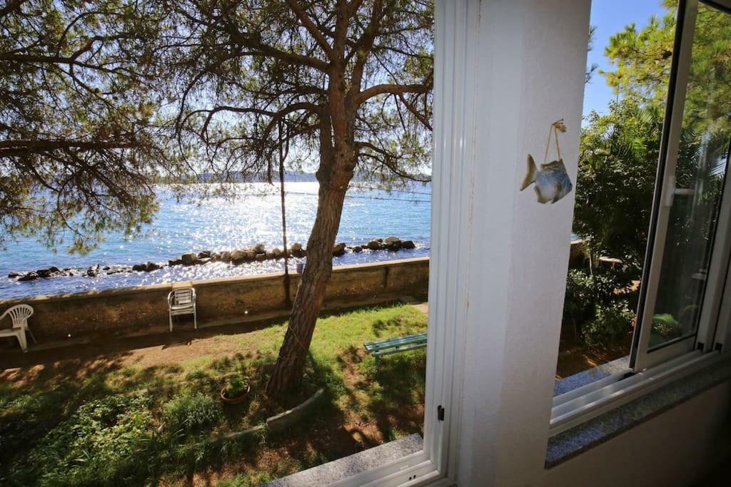 Seafront Beach Apartment - Directly At The Beach Zadar Exteriör bild